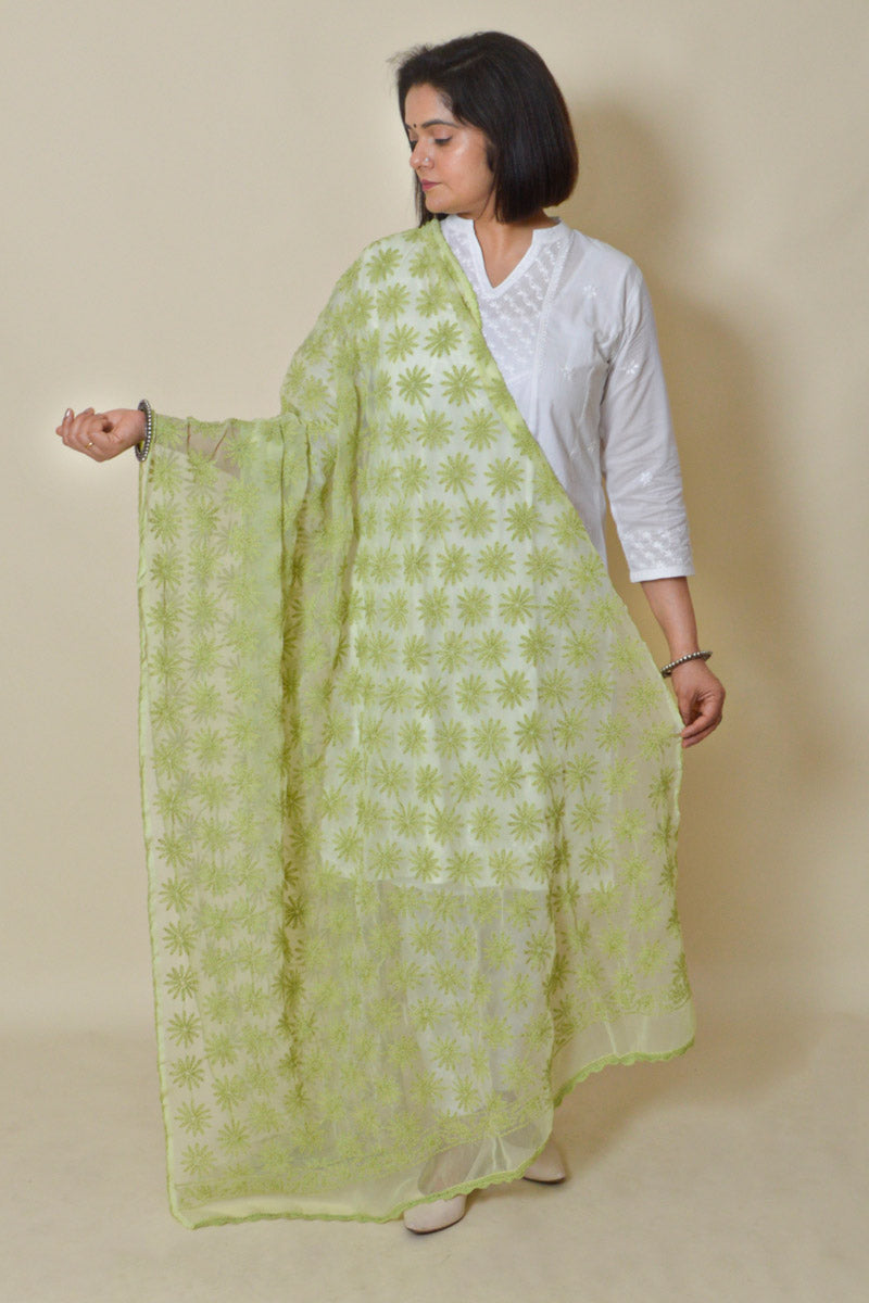 Light Green color  Georgette Allover Tepchi work Lucknowi Chikankari Dupatta