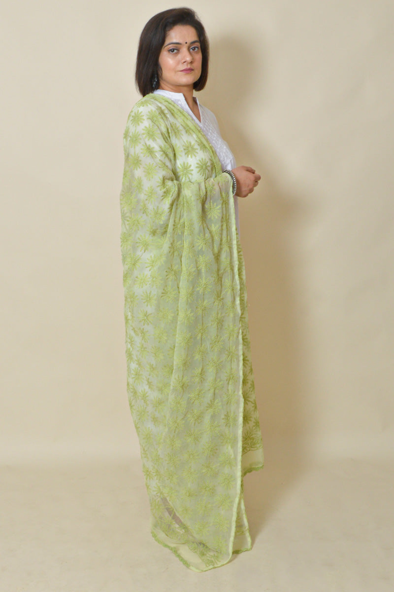 Light Green color  Georgette Allover Tepchi work Lucknowi Chikankari Dupatta