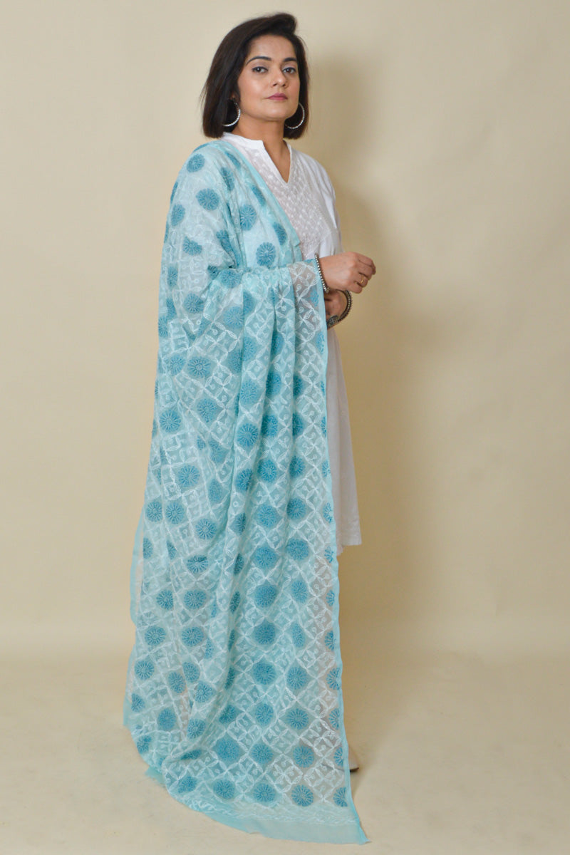 Sky Blue color Georgette Allover Tepchi work Lucknowi Chikankari Dupatta