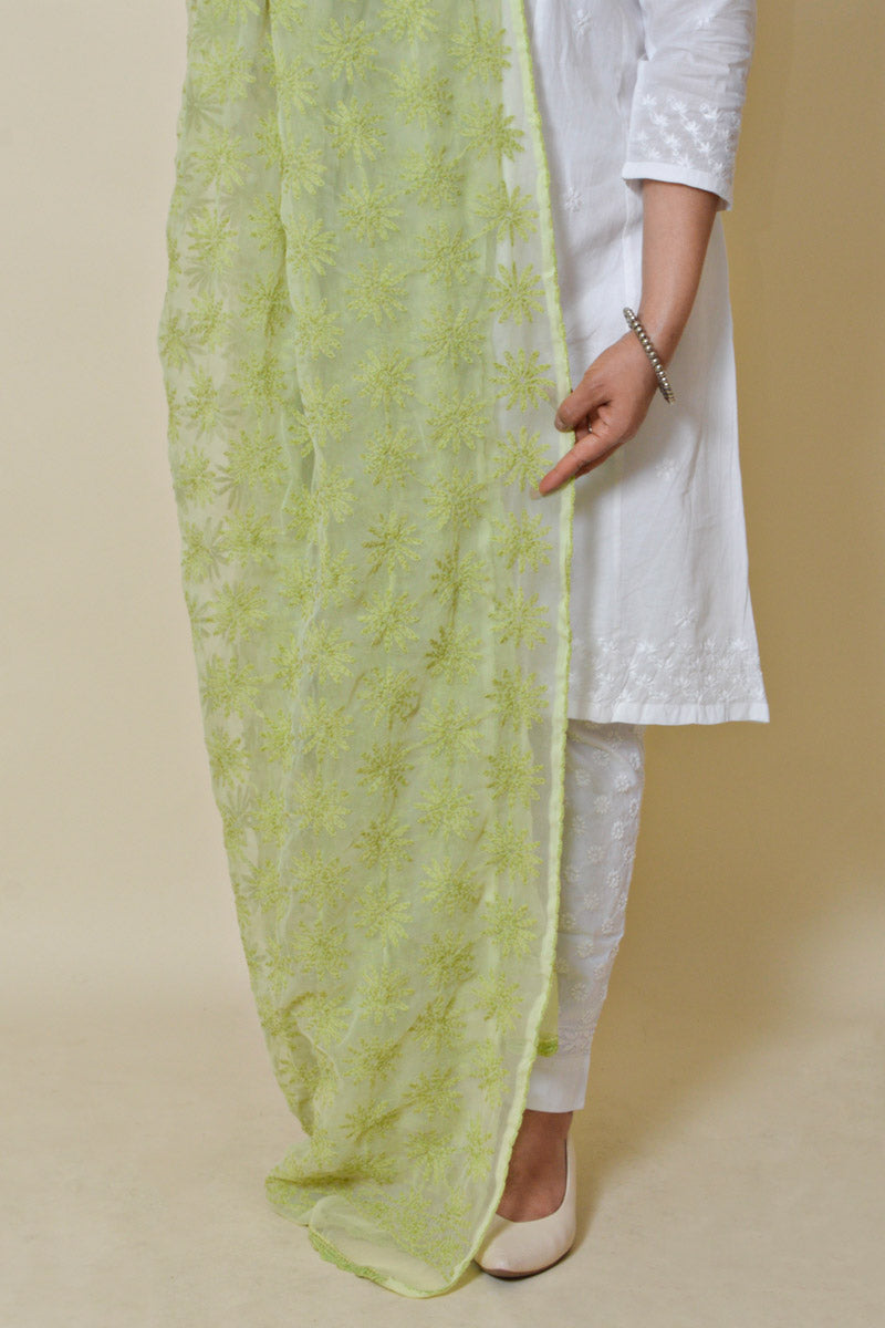 Light Green color  Georgette Allover Tepchi work Lucknowi Chikankari Dupatta