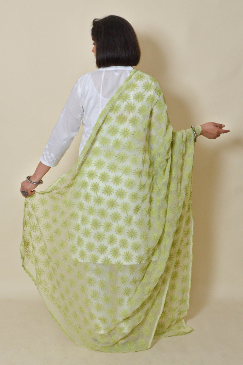 Light Green color  Georgette Allover Tepchi work Lucknowi Chikankari Dupatta